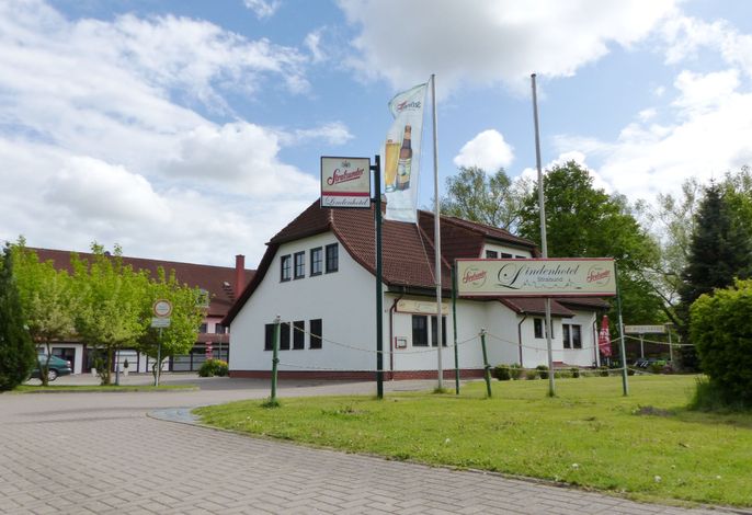Bild 15