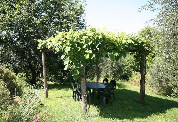 Bild 126
