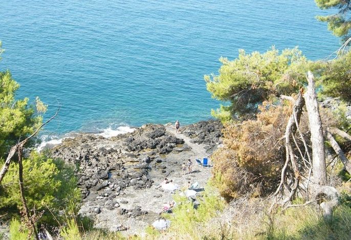 Bild 12