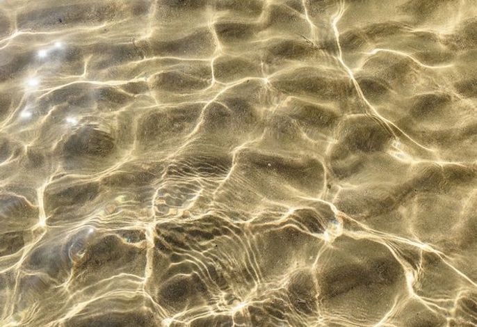 Bild 61