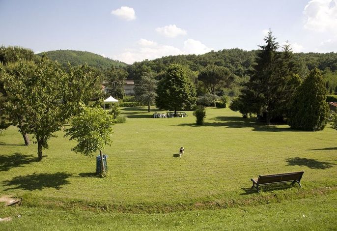 Bild 13
