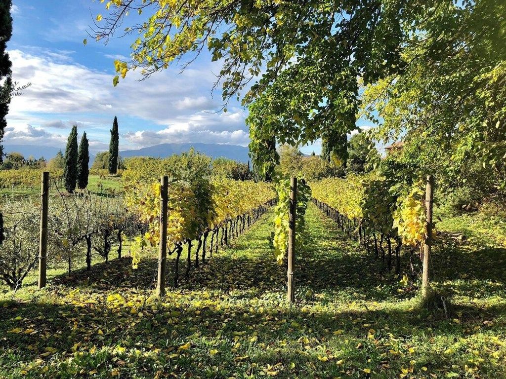 Maso di Villa