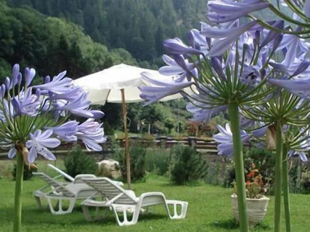 Hotel Pedretti