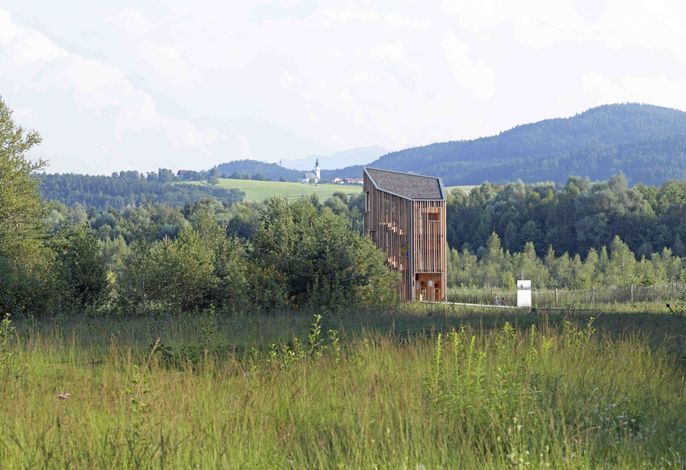 Bild 15