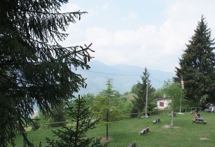 Bild 14