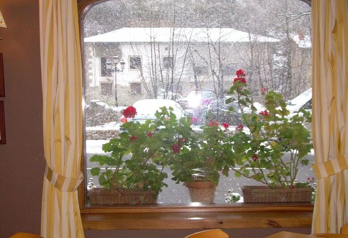 Bild 49