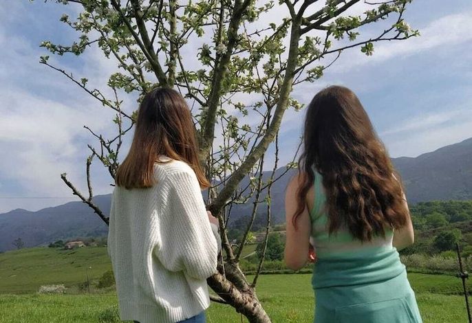 Bild 19