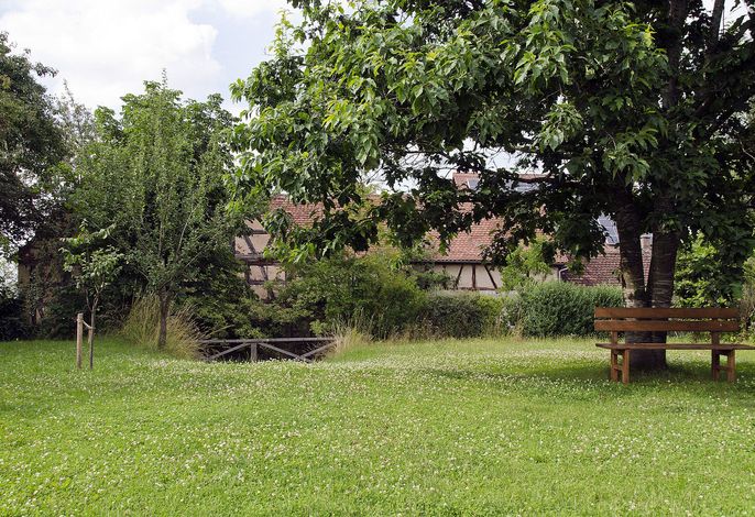 Bild 17
