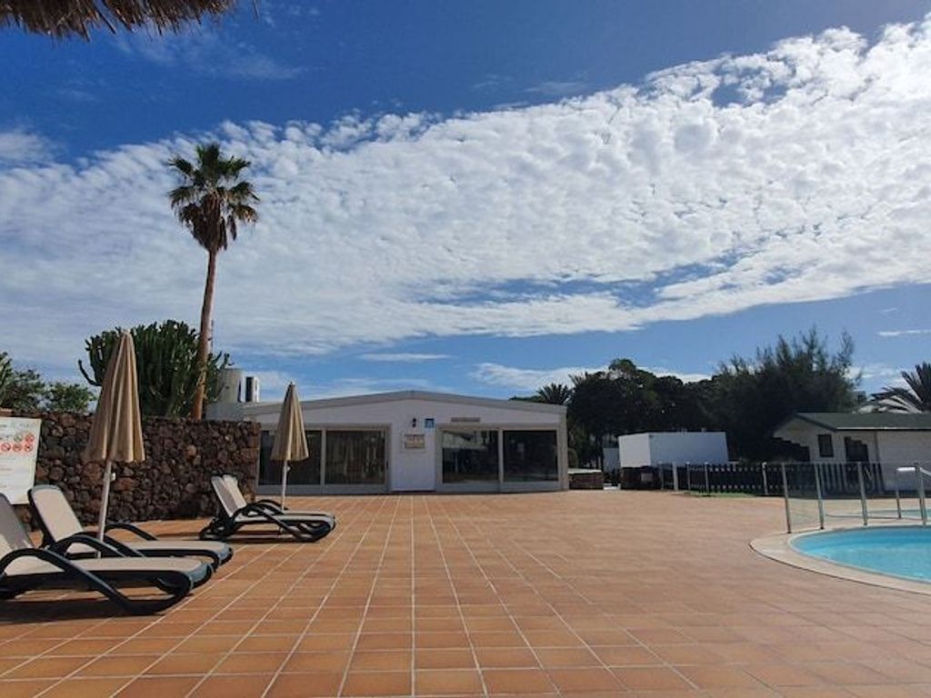 Palmeras Garden