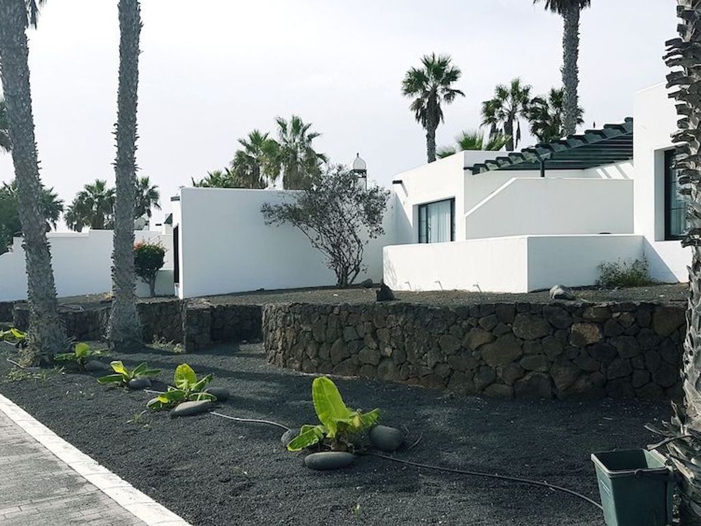 Palmeras Garden