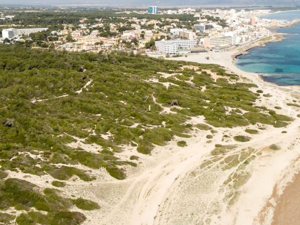 Hotel Son Baulo