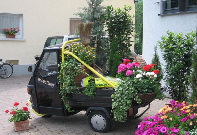 Bild 17