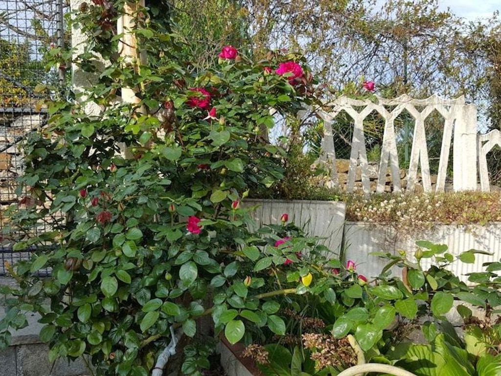 B&B Ethnohotel Rosa dei Venti