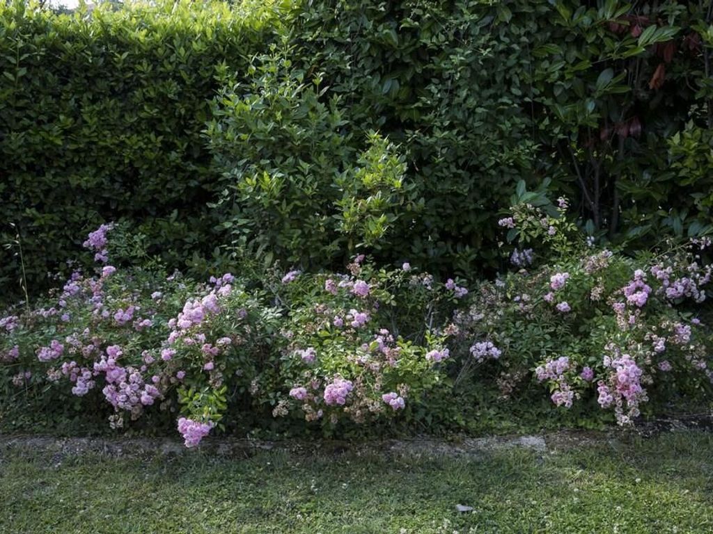 Residence Monte Bello
