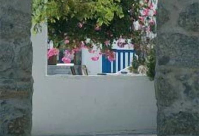 Bild 81