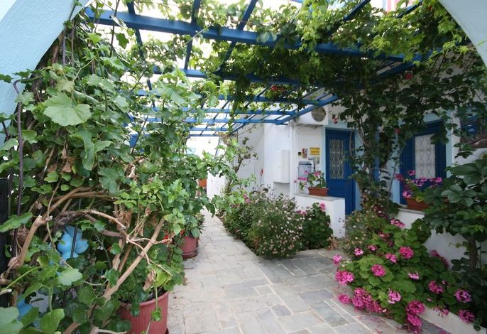 Bild 24