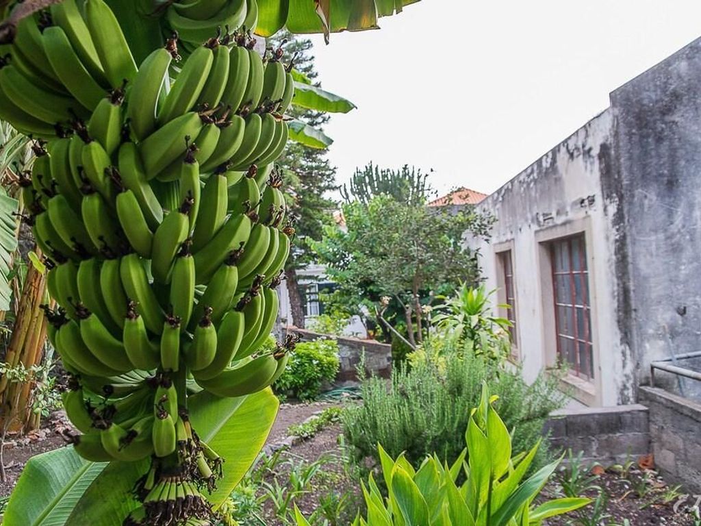 Vitorina Corte Guesthouse