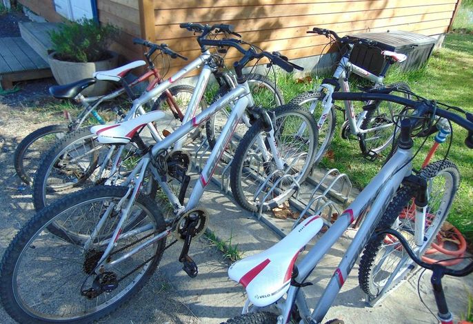 Bild 51