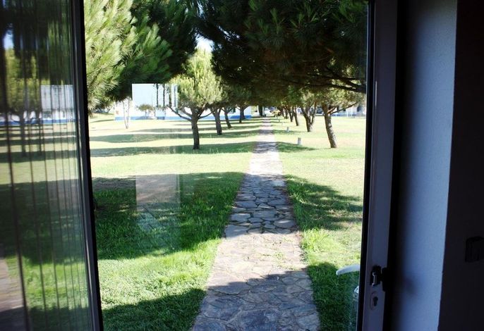 Bild 19