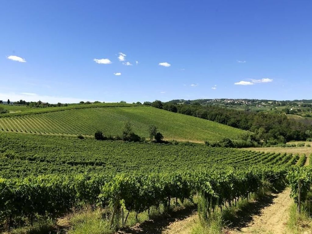 Fattoria Primavera