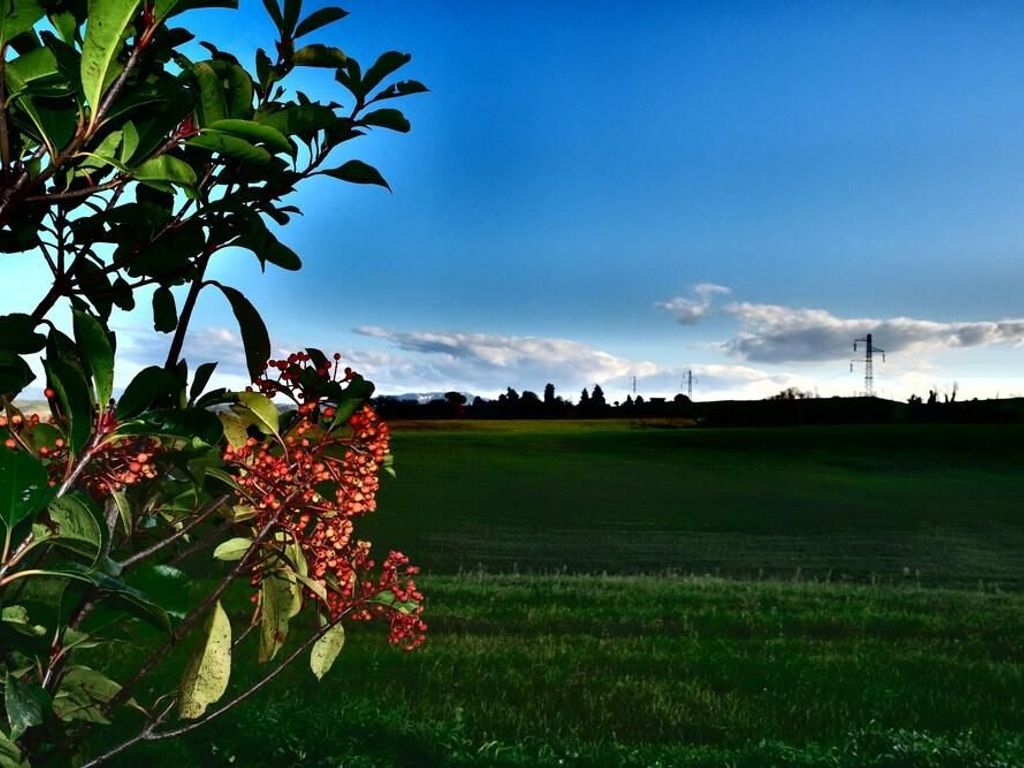 Casa D'Era Country Holiday House