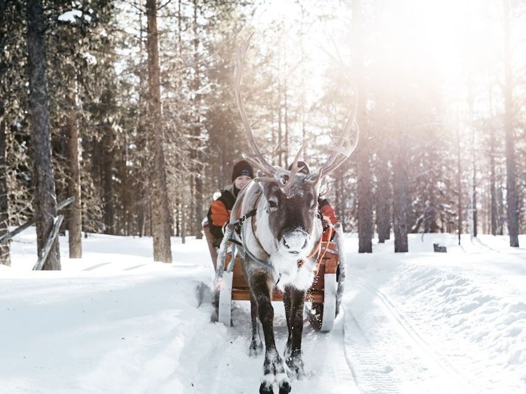 Lapland Hotels Ounasvaara Chalets