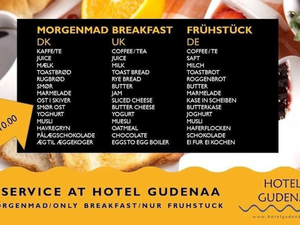 Hotel Gudenå