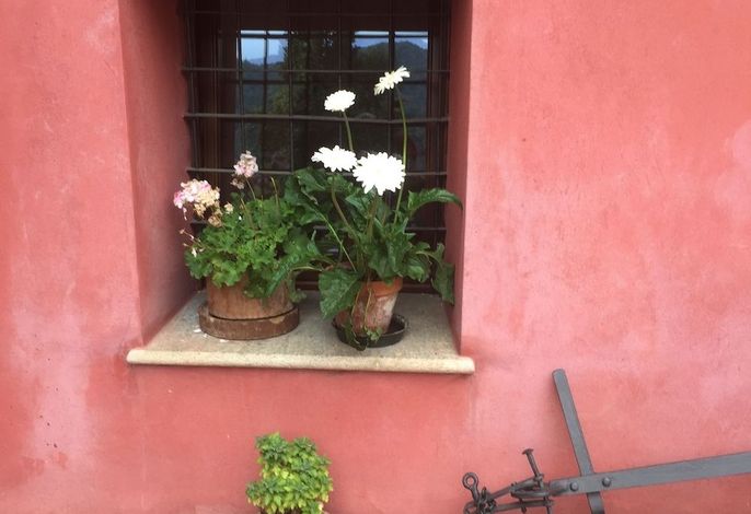 Bild 54