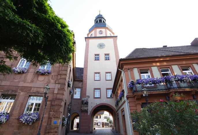 Bild 9