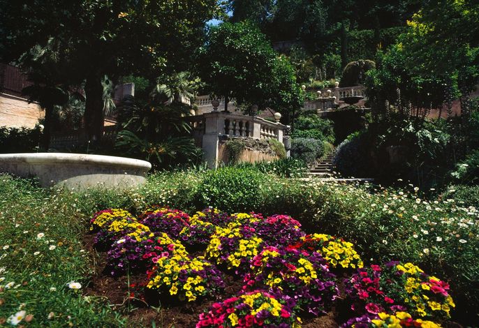 Bild 625