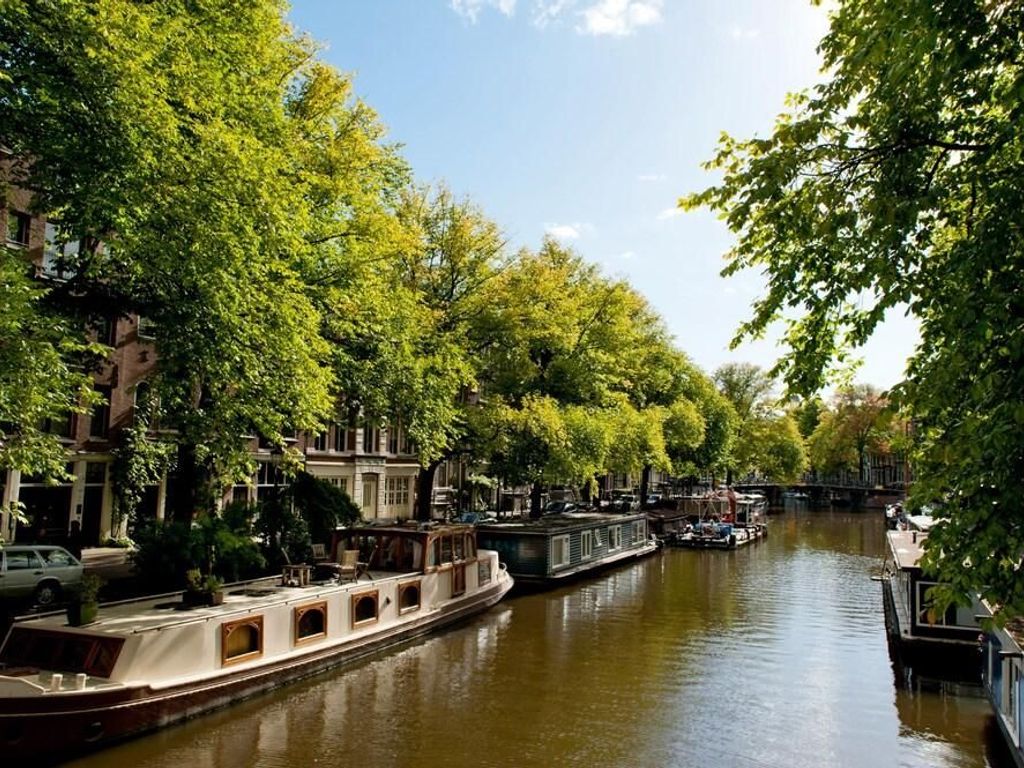 Goudbloemstraat Area Apartments