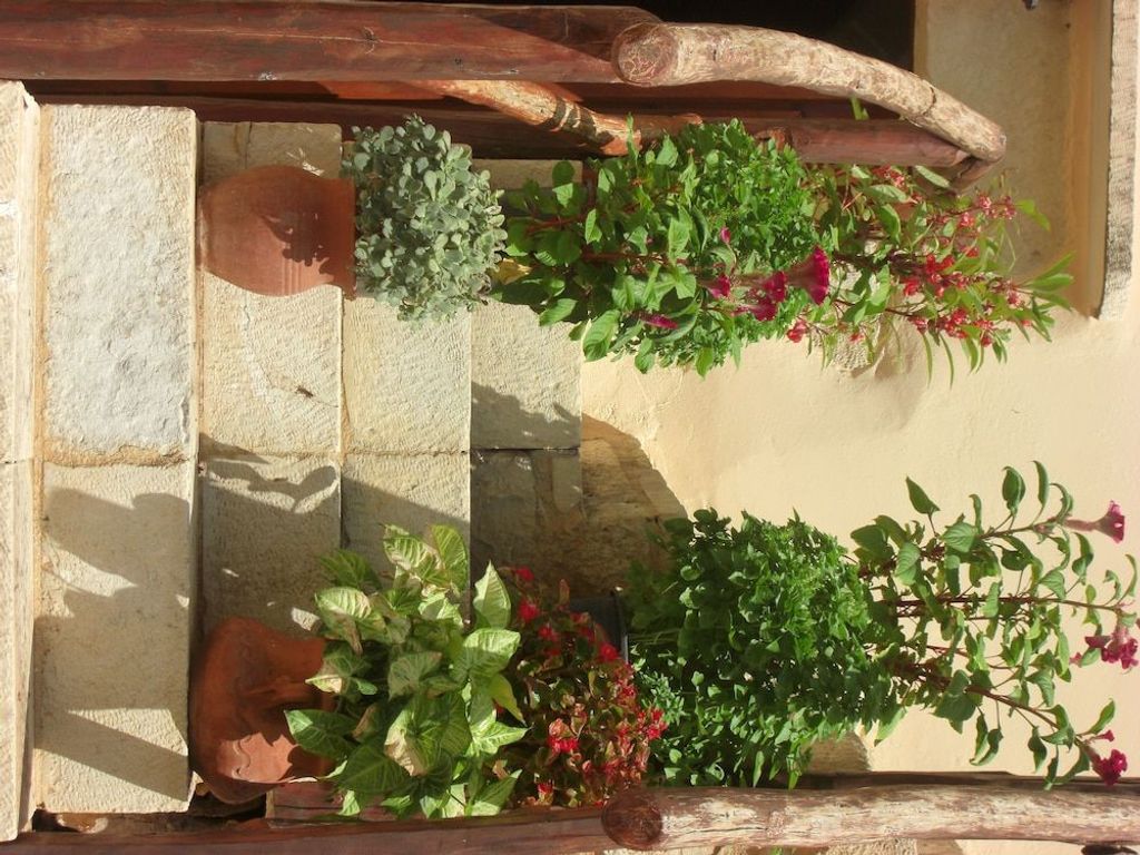 Patriko Traditional Residence