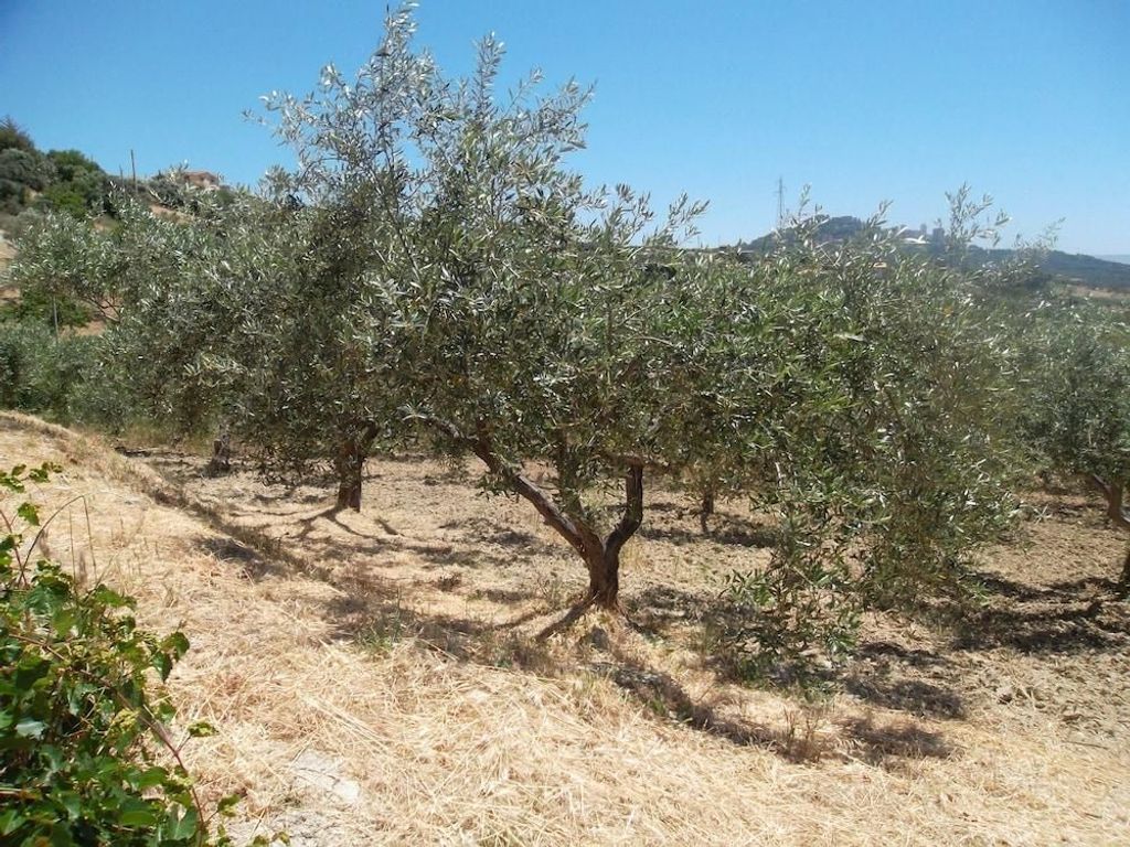 Agriturismo Due Ganèe
