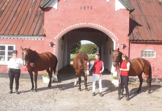 Bild 18