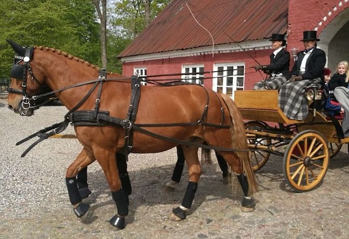 Bild 36