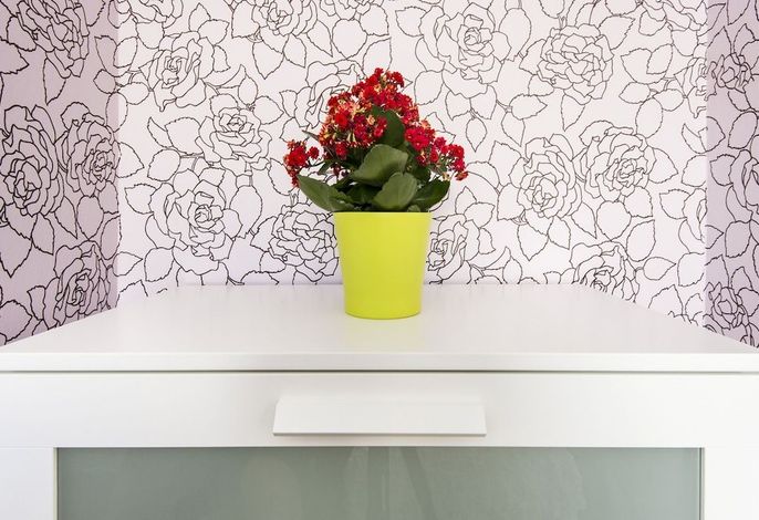 Bild 24