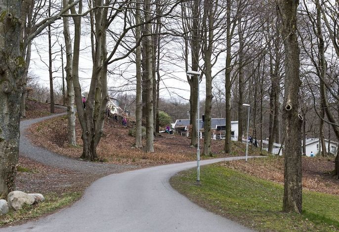 Bild 18