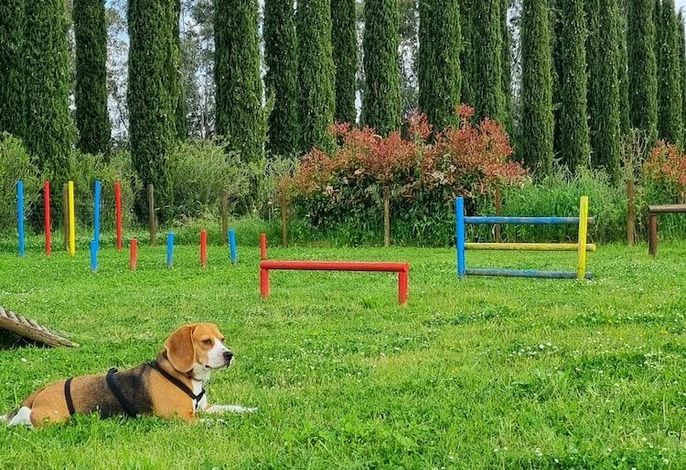 Bild 117