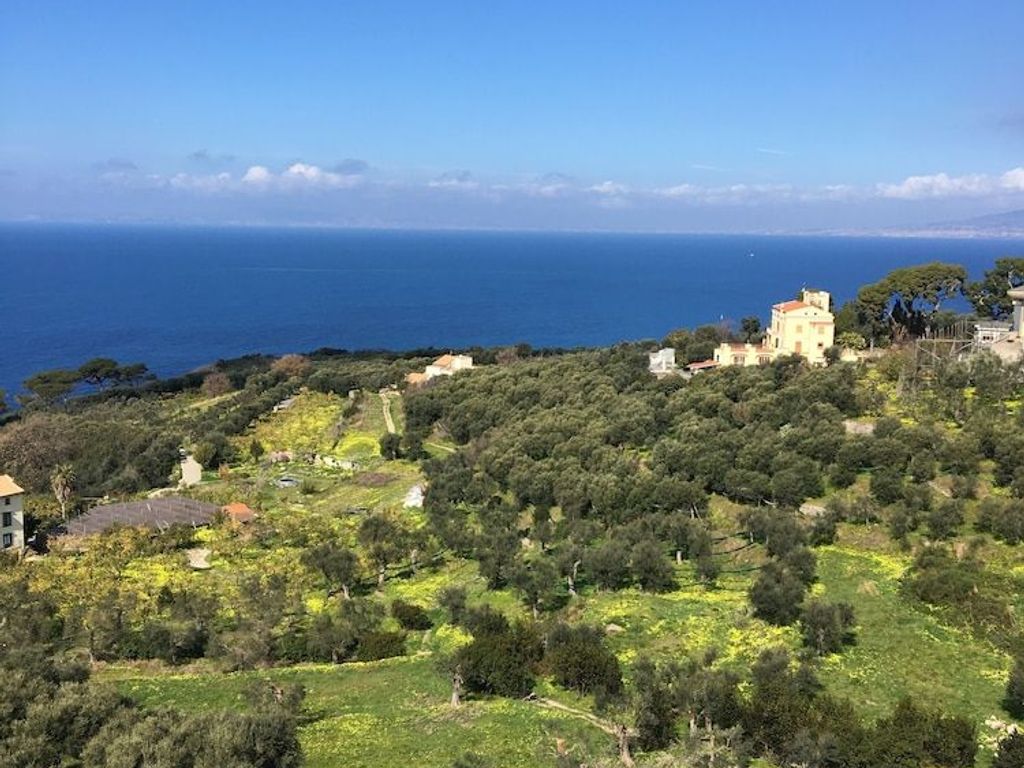 Hotel Dania