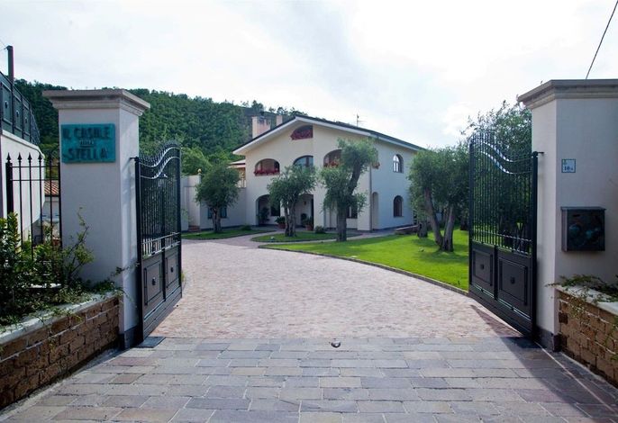 Bild 14