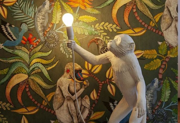 Bild 51