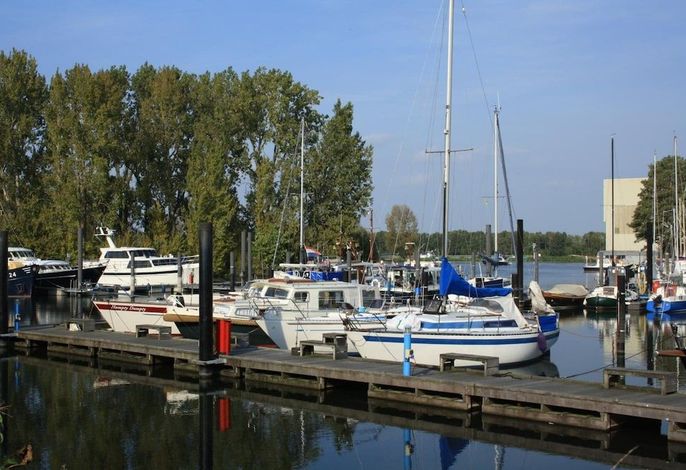 Bild 41