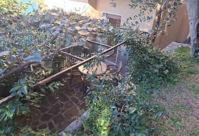Bild 34