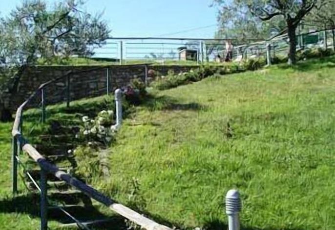 Bild 16