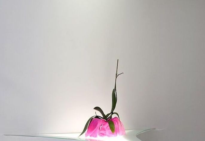 Bild 34