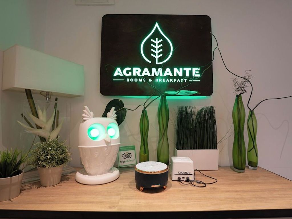 Agramante