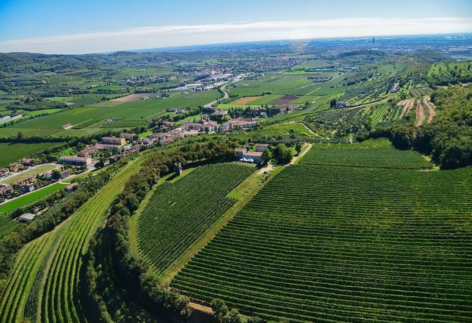 Tenuta Delo Relais