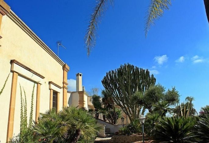 Bild 11