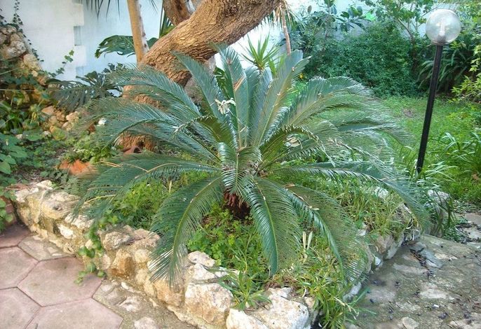 Bild 49