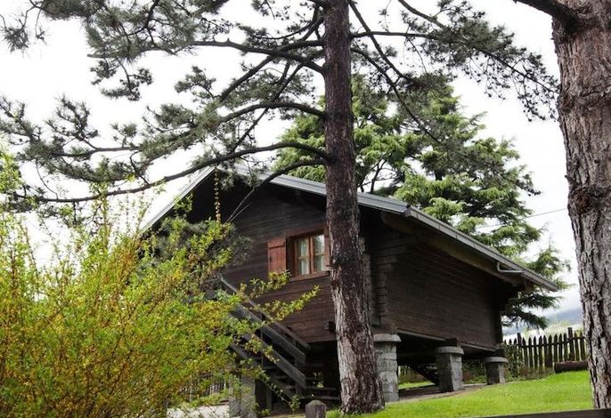 Bild 16